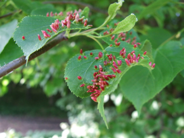 DSCF3381.JPG
