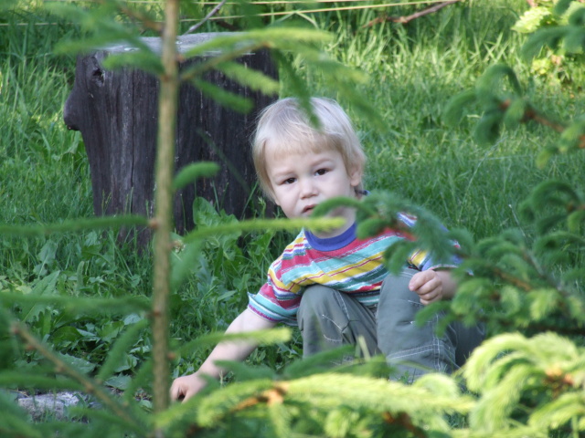 DSCF3423.JPG