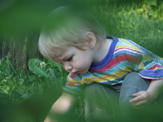 DSCF3428.JPG