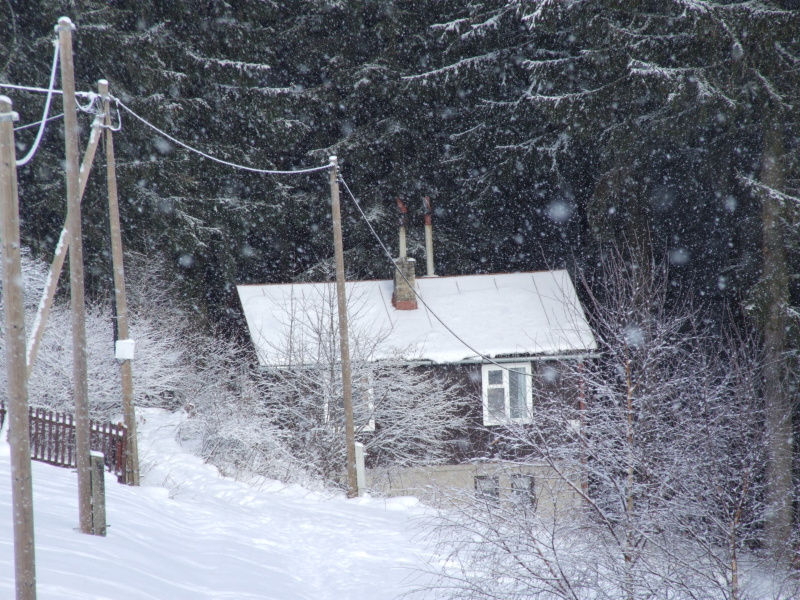 DSCF2422.JPG