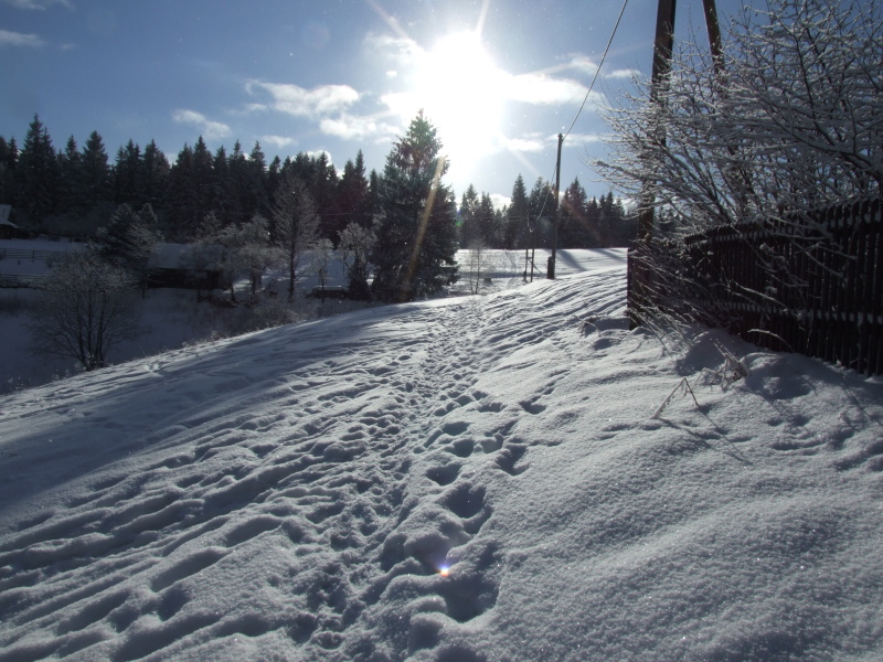 DSCF2483.JPG