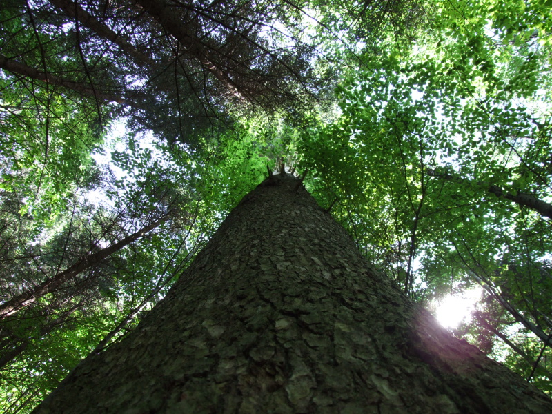DSCF0639.JPG