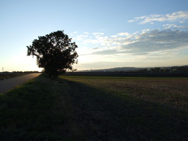 DSCF4343.JPG