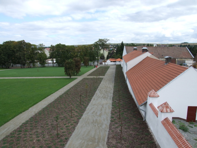 DSCF0674.JPG